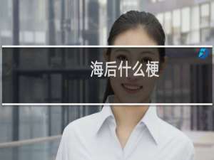 海后什么梗