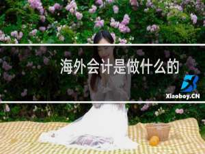 海外会计是做什么的