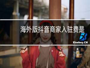 海外版抖音商家入驻费是多少