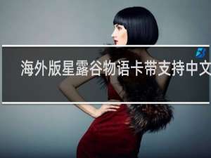 海外版星露谷物语卡带支持中文吗