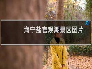 海宁盐官观潮景区图片