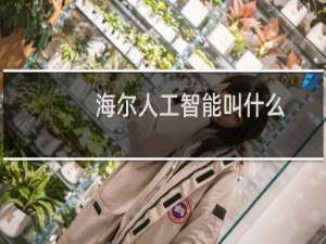 海尔人工智能叫什么