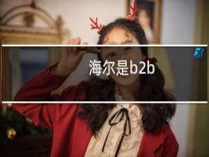 海尔是b2b