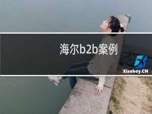 海尔b2b案例