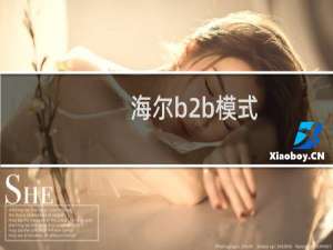 海尔b2b模式