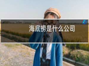 海底捞是什么公司（海底捞是什么）