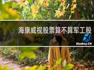 海康威视股票算不算军工股