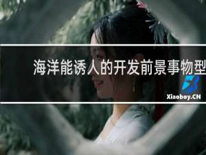 海洋能诱人的开发前景事物型说明文吗