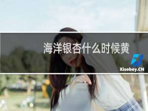 海洋银杏什么时候黄