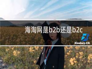 海淘网是b2b还是b2c