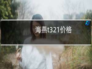 海燕t321价格