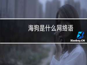 海狗是什么网络语，说一个人海狗是什么意思什么梗