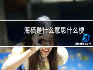 海猫是什么意思什么梗