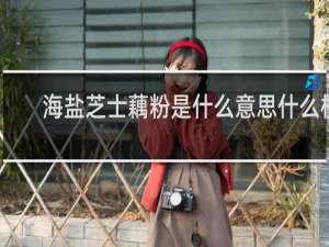 海盐芝士藕粉是什么意思什么梗