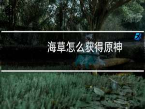 海草怎么获得原神