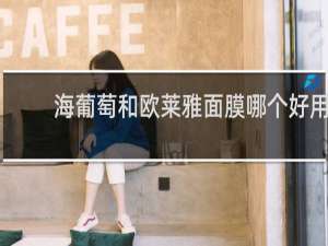 海葡萄和欧莱雅面膜哪个好用