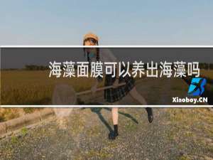 海藻面膜可以养出海藻吗
