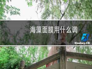 海藻面膜用什么调