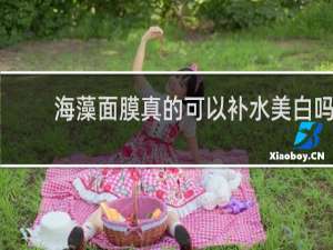 海藻面膜真的可以补水美白吗