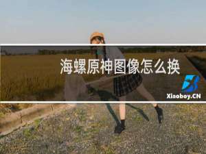 海螺原神图像怎么换