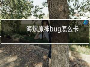 海螺原神bug怎么卡