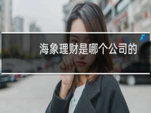 海象理财是哪个公司的