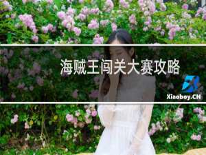 海贼王闯关大赛攻略