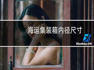 海运集装箱内径尺寸