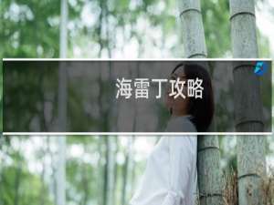 海雷丁攻略