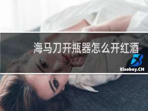海马刀开瓶器怎么开红酒