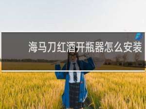 海马刀红酒开瓶器怎么安装