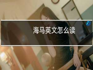 海马英文怎么读