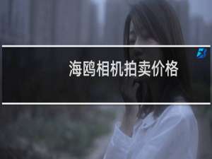 海鸥相机拍卖价格