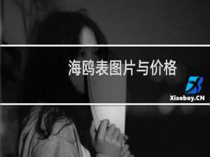 海鸥表图片与价格