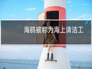 海鸥被称为海上清洁工绰号主要原因是什么