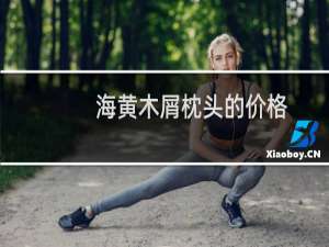 海黄木屑枕头的价格