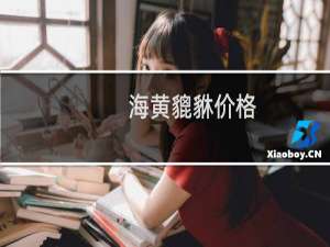 海黄貔貅价格