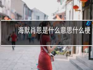 海默肖恩是什么意思什么梗