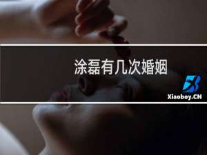 涂磊有几次婚姻