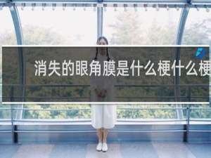 消失的眼角膜是什么梗什么梗