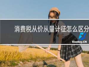 消费税从价从量计征怎么区分