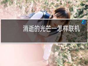 消逝的光芒一怎样联机