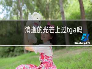 消逝的光芒上过tga吗