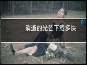 消逝的光芒下载多快