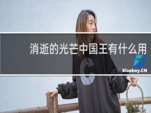 消逝的光芒中国王有什么用