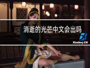 消逝的光芒中文会出吗