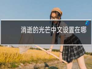 消逝的光芒中文设置在哪