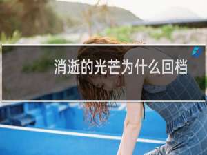 消逝的光芒为什么回档