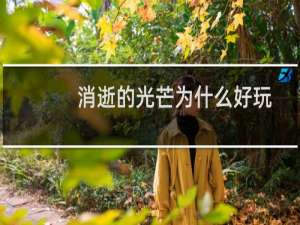 消逝的光芒为什么好玩