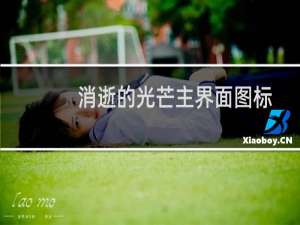 消逝的光芒主界面图标